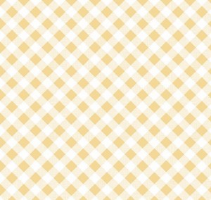 Gingham Fabric 04